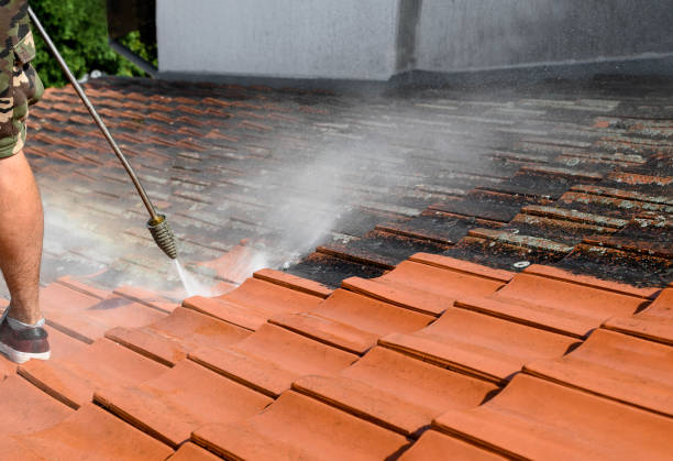 Best Affordable Pressure Washing  in Scandia, MN