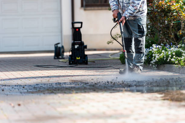 Best House Pressure Washing  in Scandia, MN