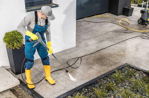 Best Roof Power Washing Services  in Scandia, MN